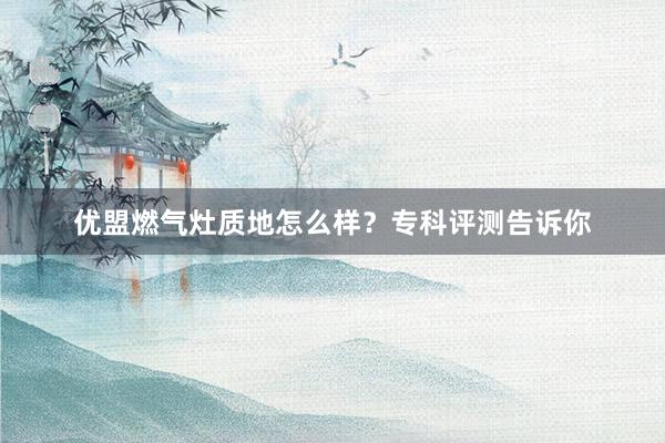 优盟燃气灶质地怎么样？专科评测告诉你