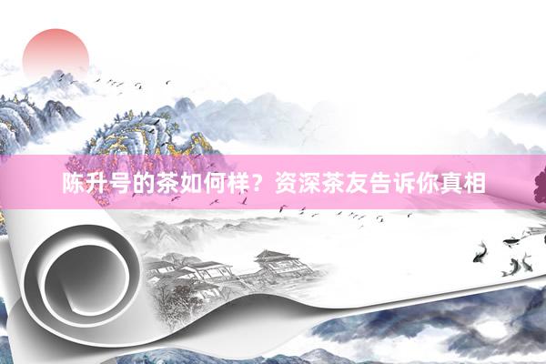 陈升号的茶如何样？资深茶友告诉你真相